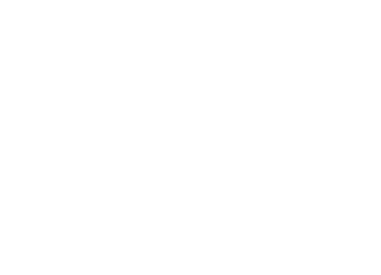 Lower Lincoln Logo